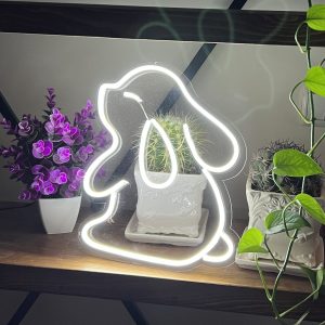 نئون فانتزی،طرح خرگوش